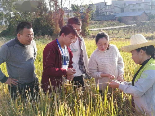 跟着农民一姐走进田间地头 农业园艺服务的真实故事