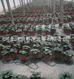 河北滴箭首选品牌 专业定制服务助您精准灌溉