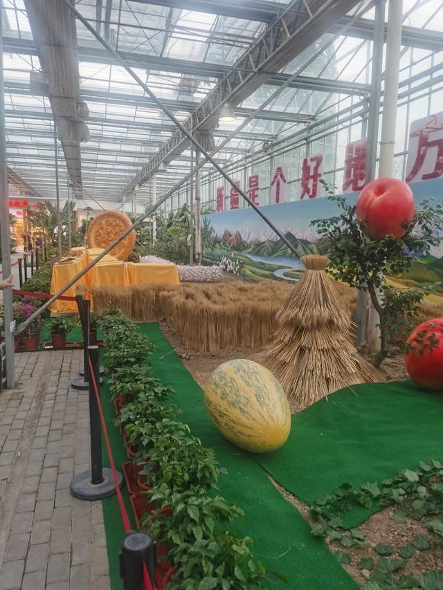 科技赋能新农业 新疆农业博览园智慧农业科技展馆亮相