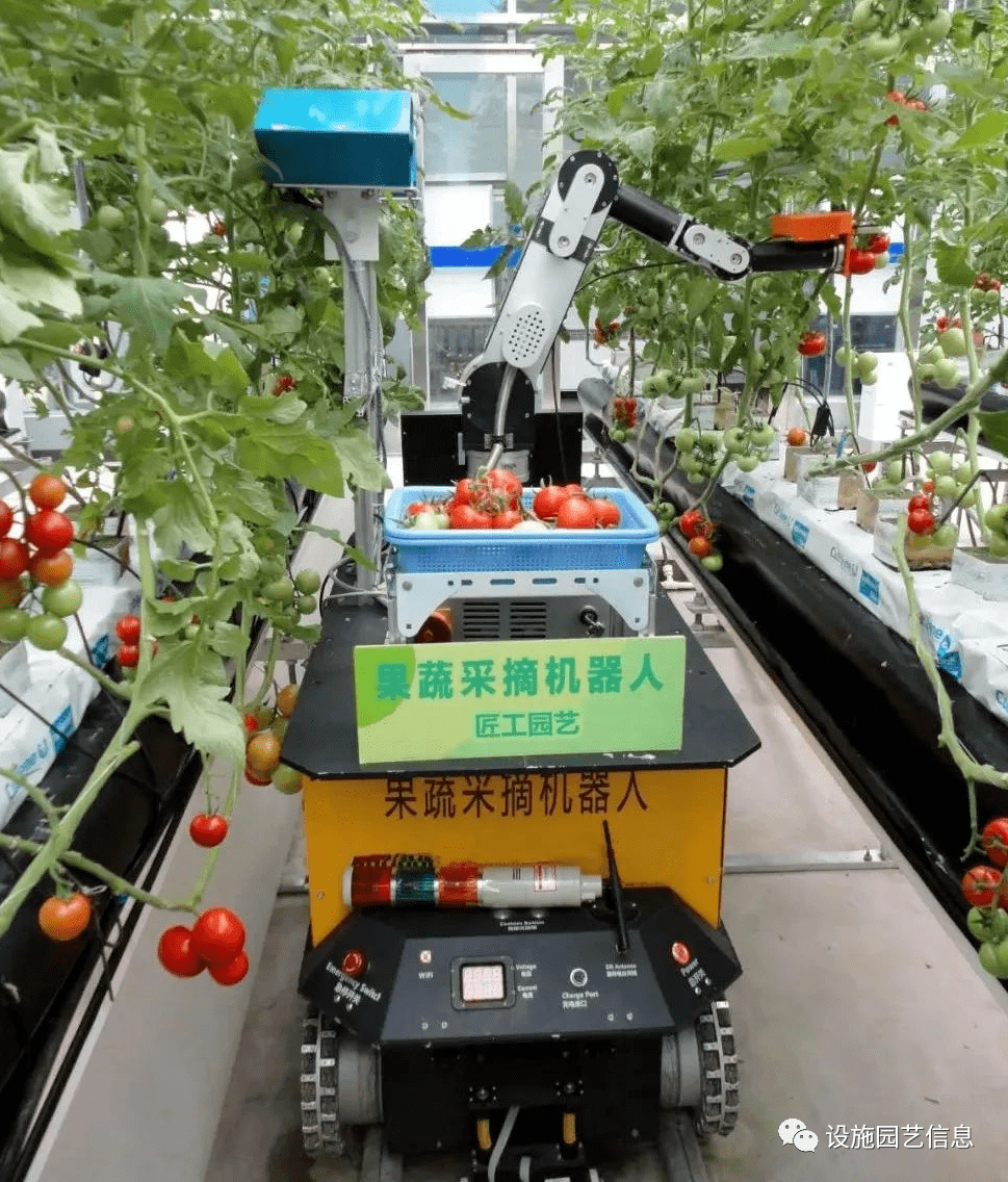 关注|科技赋能智慧农业 走高质量发展之路~_生产力_人工